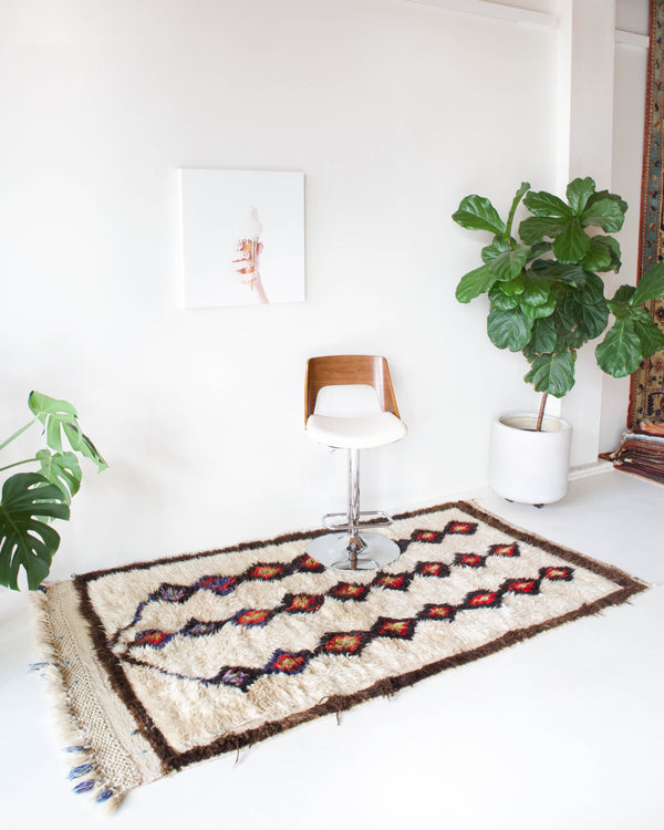 Area rug in a living room setting, pile rug, Turkish rug, custom rug, , new rug, modern rug, customizable rug, made to order rug, portland, rug shop, bright colors, wild shaman, soft rug, bold color, Portland, Oregon, rug store, rug shop, local shop, made in Turkey