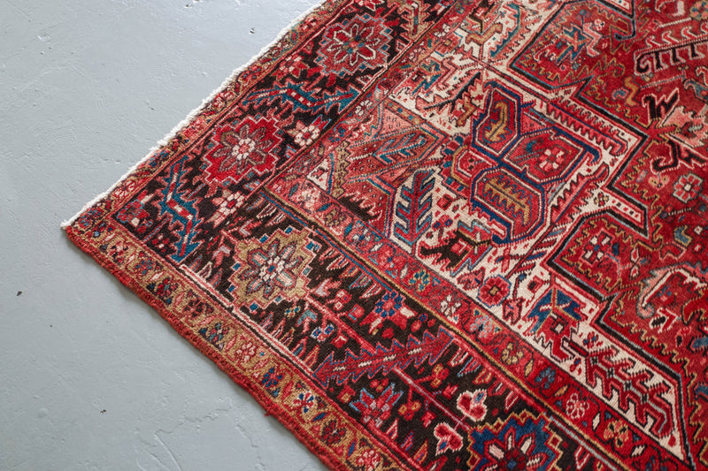 pile rug, Turkish rug, vintage rug, portland, rug shop, bright colors, wild shaman, soft rug, bold color, Portland, Oregon, rug store, rug shop, local shop