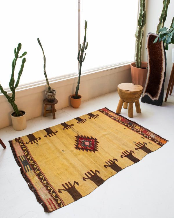  Vintage kilim rug in room decor setting, kilim, Turkish rug, vintage rug, portland, rug shop, bright colors, wild shaman, bold color, Portland, Oregon, rug store, rug shop, local shop, antique rug