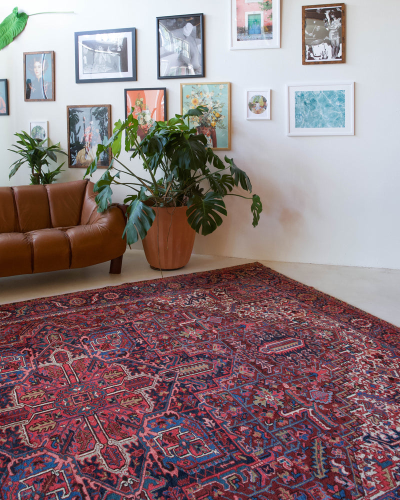 Antique Persian area rug in a living room setting, pile rug, vintage rug, portland, rug shop, bright colors, wild shaman, soft rug, bold color, Portland, Oregon, rug store, rug shop, local shop, antique rug, Persian rug, handmade rug, wool rug