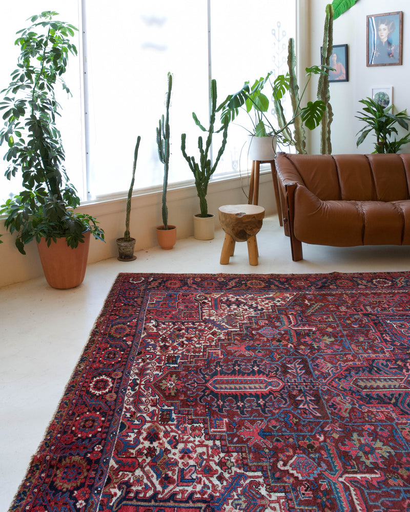 Antique Persian area rug in a living room setting, pile rug, vintage rug, portland, rug shop, bright colors, wild shaman, soft rug, bold color, Portland, Oregon, rug store, rug shop, local shop, antique rug, Persian rug, handmade rug, wool rug