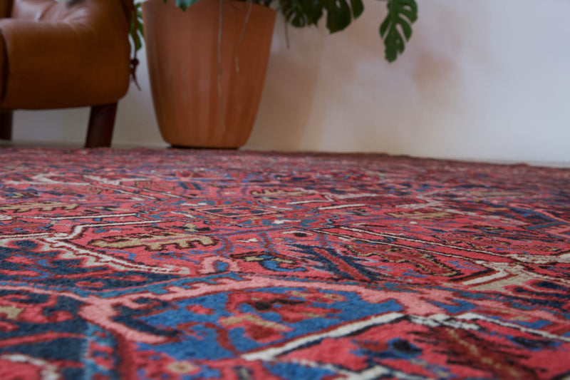 Antique Persian area rug in a living room setting, pile rug, vintage rug, portland, rug shop, bright colors, wild shaman, soft rug, bold color, Portland, Oregon, rug store, rug shop, local shop, antique rug, Persian rug, handmade rug, wool rug