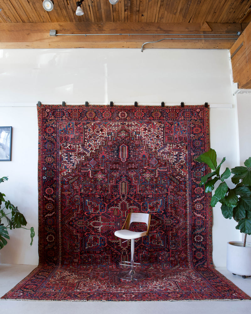 Antique Persian area rug in a living room setting, pile rug, vintage rug, portland, rug shop, bright colors, wild shaman, soft rug, bold color, Portland, Oregon, rug store, rug shop, local shop, antique rug, Persian rug, handmade rug, wool rug