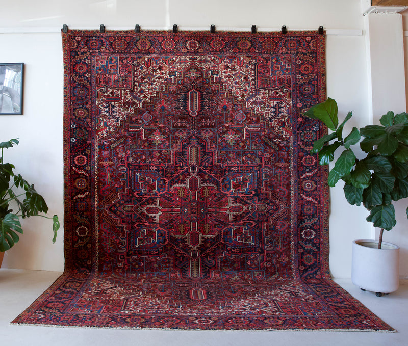 Antique Persian area rug in a living room setting, pile rug, vintage rug, portland, rug shop, bright colors, wild shaman, soft rug, bold color, Portland, Oregon, rug store, rug shop, local shop, antique rug, Persian rug, handmade rug, wool rug