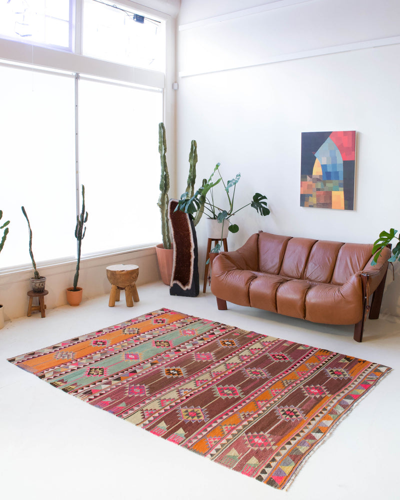 Vintage kilim rug in living room setting, bright colors, wild shaman, soft rug, bold color, Portland, Oregon, rug store, rug shop, local shop