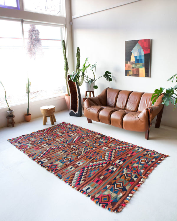 Vintage kilim rug in living room setting, bright colors, wild shaman, soft rug, bold color, Portland, Oregon, rug store, rug shop, local shop, vintage rug, modern kilim