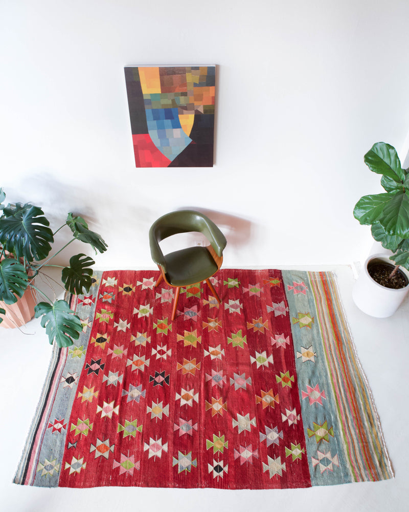 Vintage kilim rug in living room setting, bright colors, wild shaman, soft rug, bold color, Portland, Oregon, rug store, rug shop, local shop, vintage rug, modern kilim