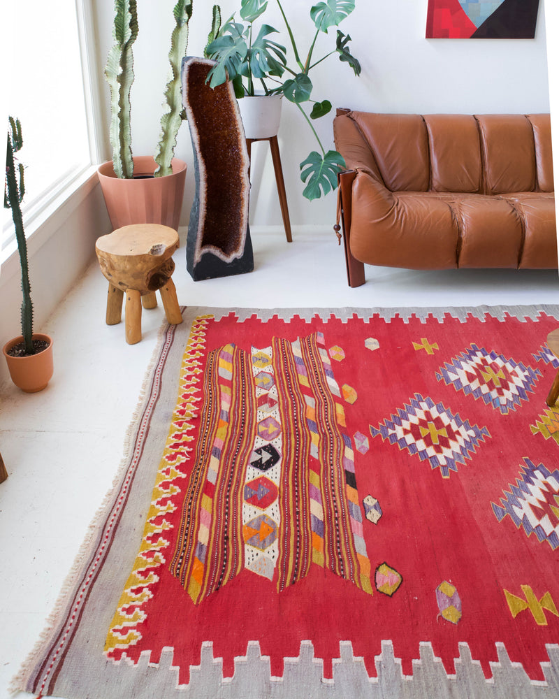 Vintage kilim rug in living room setting, bright colors, wild shaman, soft rug, bold color, Portland, Oregon, rug store, rug shop, local shop, vintage rug, modern kilim