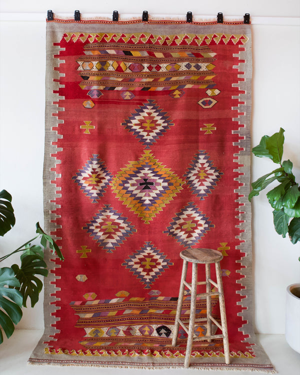 Vintage kilim rug in living room setting, bright colors, wild shaman, soft rug, bold color, Portland, Oregon, rug store, rug shop, local shop, vintage rug, modern kilim