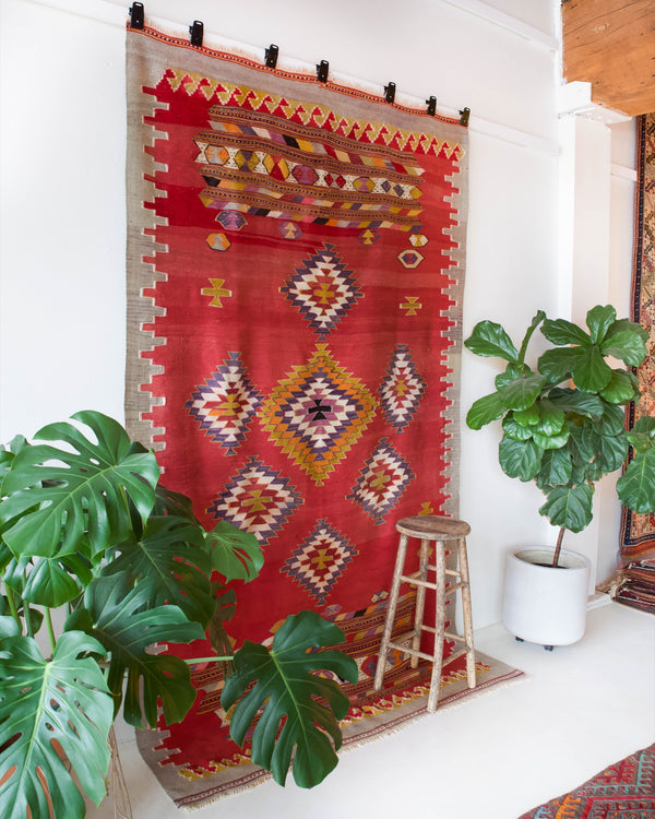 Vintage kilim rug in living room setting, bright colors, wild shaman, soft rug, bold color, Portland, Oregon, rug store, rug shop, local shop, vintage rug, modern kilim