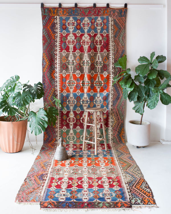 Antique kilim rug in living room setting, bright colors, wild shaman, soft rug, bold color, Portland, Oregon, rug store, rug shop, local shop, vintage rug, modern kilim, antique kilim, antique