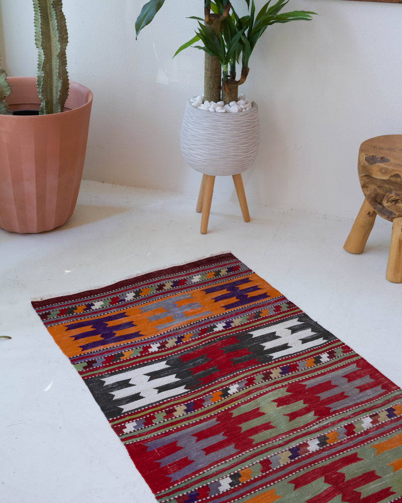 Vintage Turkish runner rug in a living room setting, pile rug, Turkish rug, vintage rug, portland, rug shop, bright colors, wild shaman, soft rug, bold color, Portland, Oregon, rug store, rug shop, local shop, antique rug