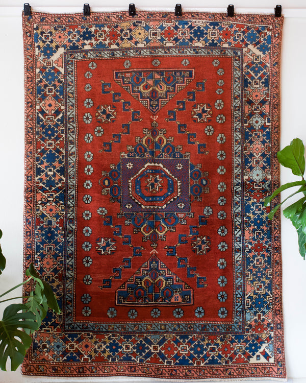 Vintage Turkish rug in a living room setting, pile rug, Turkish rug, vintage rug, portland, rug shop, bright colors, wild shaman, soft rug, bold color, Portland, Oregon, rug store, rug shop, local shop, antique rug