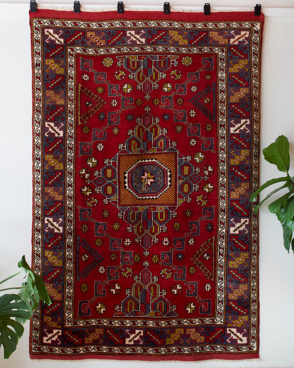 Vintage Turkish rug in a living room setting, pile rug, Turkish rug, vintage rug, portland, rug shop, bright colors, wild shaman, soft rug, bold color, Portland, Oregon, rug store, rug shop, local shop, antique rug