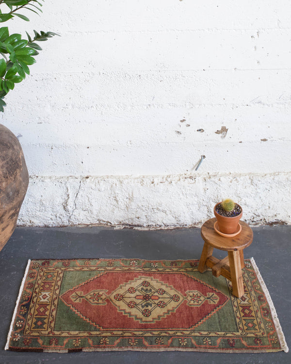 old rug, antique rug, earthy colors, faded colors, turkish rug, vintage rug, flat weave, mini rug, pile rug, Wild Shaman, Portland, Oregon, rug store, rug shop, local shop, kilim rug