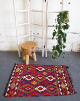 pile rug, Turkish rug, vintage rug, portland, rug shop, bright colors, wild shaman, area rug, red rug, mini rug, bold color, Portland, Oregon, rug store, rug shop, local shop, flat weave, kilim rug