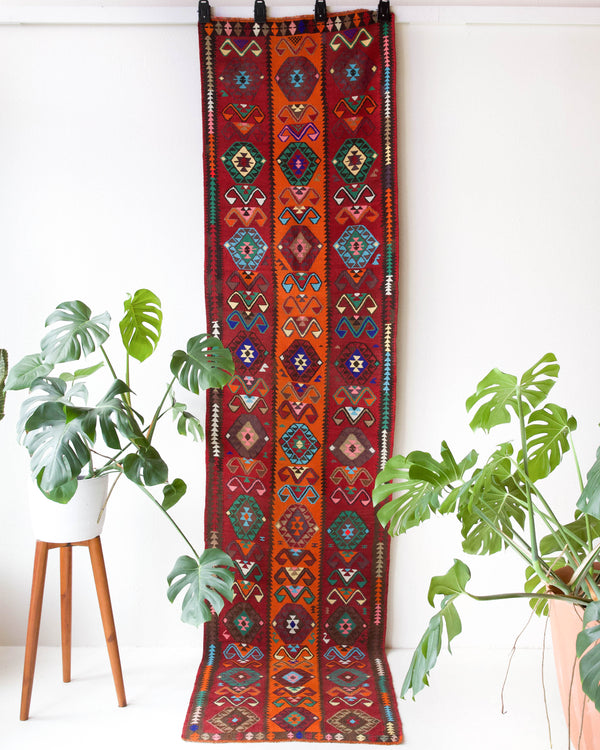  Vintage Turkish runner rug in a living room setting, pile rug, Turkish rug, vintage rug, portland, rug shop, bright colors, wild shaman, soft rug, bold color, Portland, Oregon, rug store, rug shop, local shop, antique rug